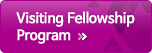 Visiting Fellowship Program
